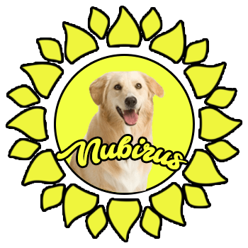 Nubirus.com.ua
